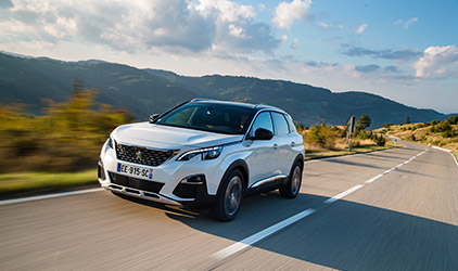 Den bedste co-driver